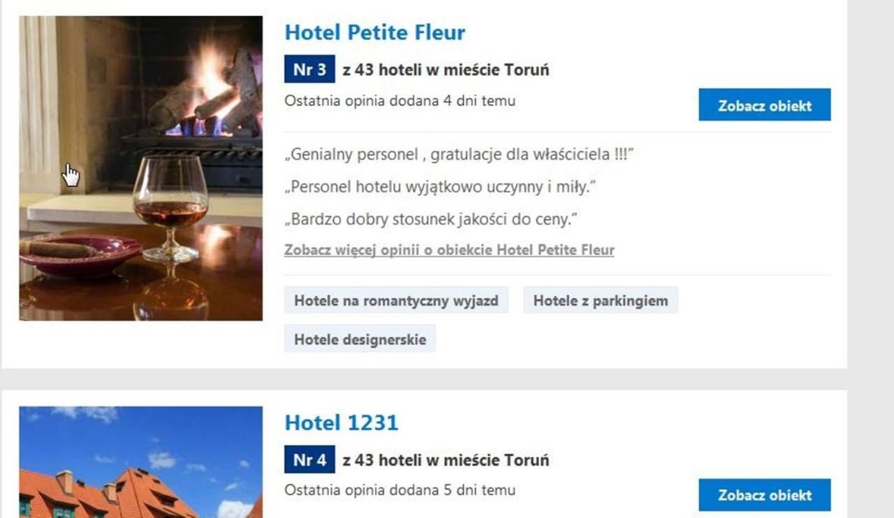 Отель Hotel Petite Fleur Торунь-43