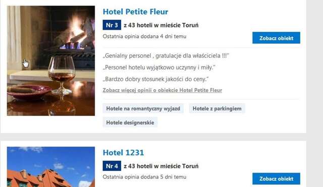 Отель Hotel Petite Fleur Торунь-42
